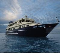 M/V Black Manta